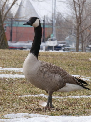 AP1000333.JPG
