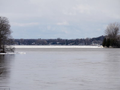 AP1000477.JPG