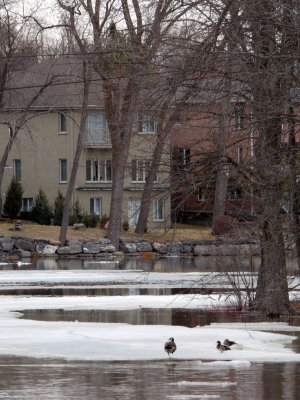AP1000779.JPG