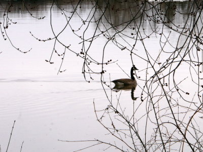 AP1000851.JPG