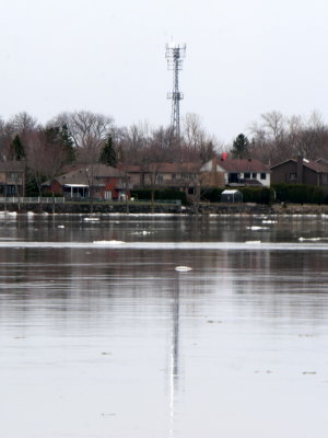 AP1000899.JPG
