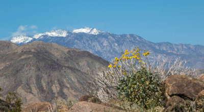 View of mountains from hike in Living Desert Park