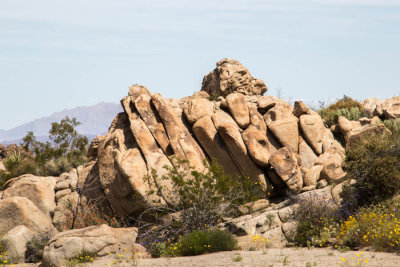 Porcupine Wash in Joshua Tree Nat'l Park