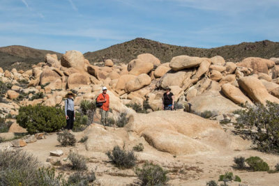 hiking at Joshua Tree Nat'l Park