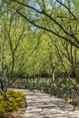 Sunnylands gardens