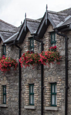 Kildare