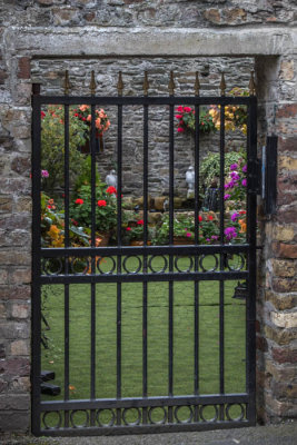 Kildare