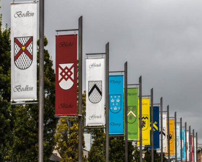 Tribes of Galway