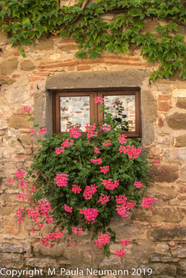Winery