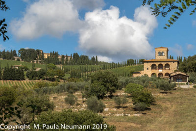 Vineyards and winery