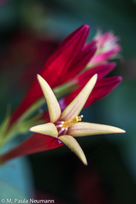 untitled-1146.jpg