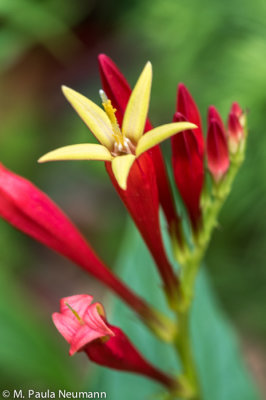 untitled-1148.jpg