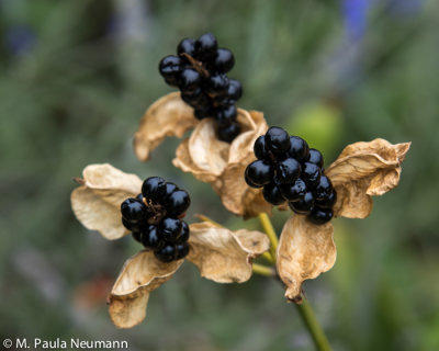 untitled-9435.jpg