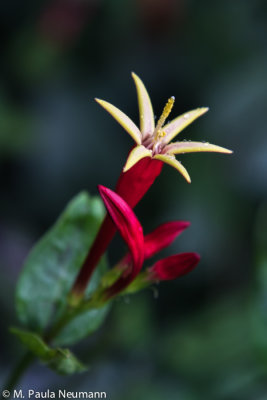 untitled-9584.jpg
