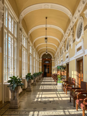 Szechenyi Thermal Bath