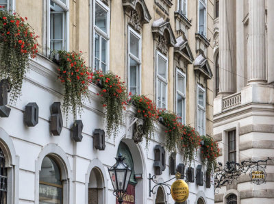 Vienna