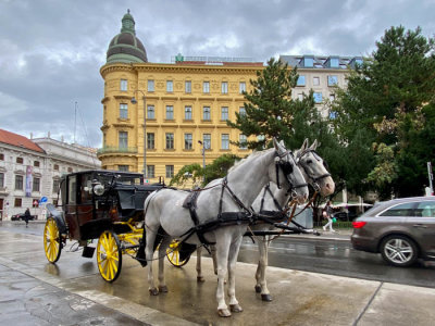 Vienna