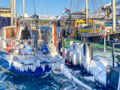 Frozen ships in harbor