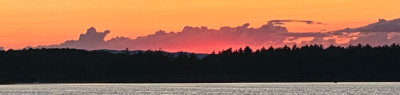 IMG_7584.jpg