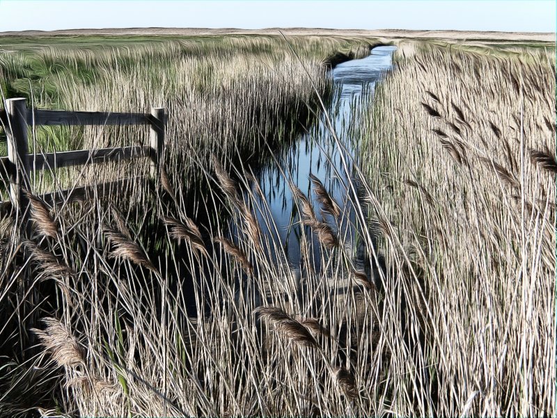Salthouse Marsh with effects