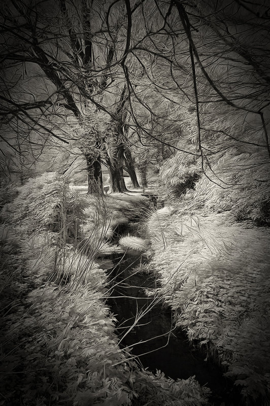 The Stream, monochrome infrared with effects