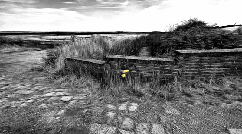 The lonely flower with effects