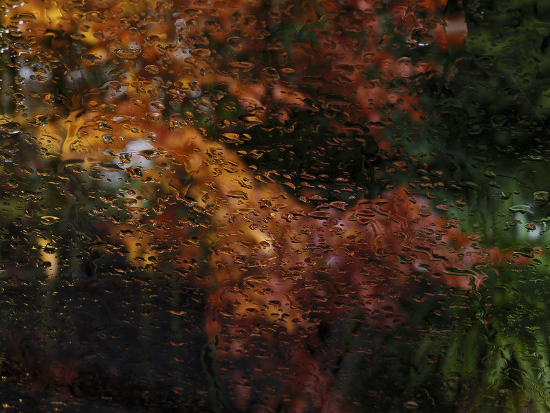 Autumn through glass