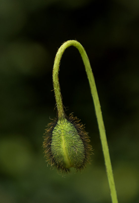 P1091558.jpg