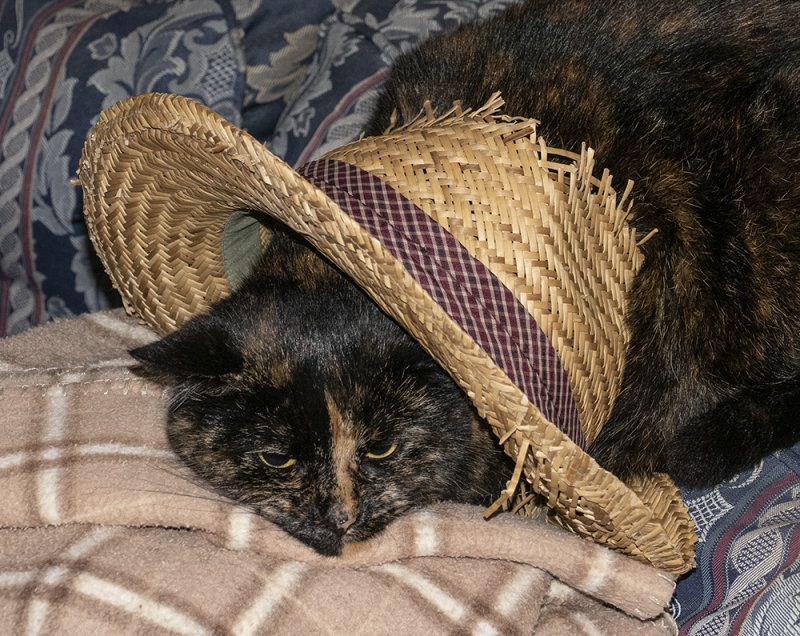 P1100165.jpg