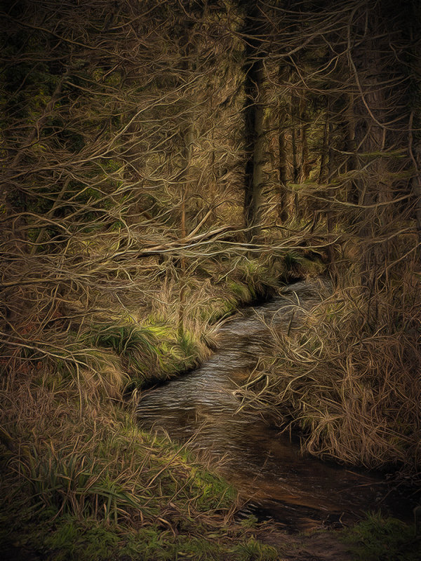 the Stream through the Forest.jpg