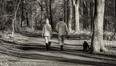 Walking the Dog