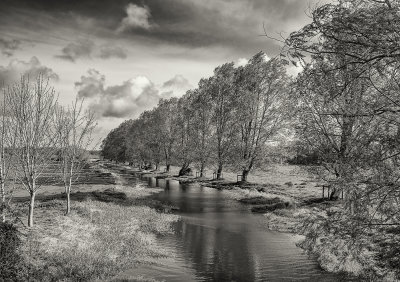 The Bure
