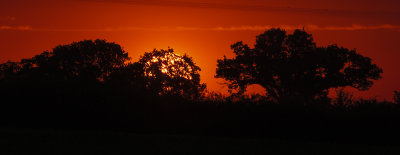 Sunrise