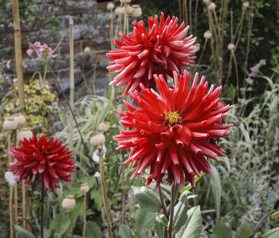 Walled Garden