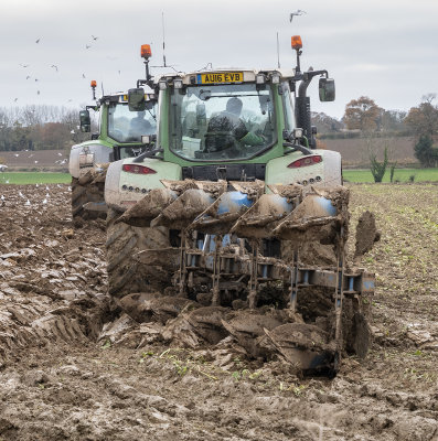 Mud