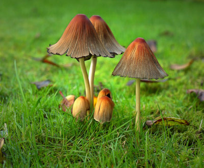 119113360.MlEozZnd._MG_9894.jpg