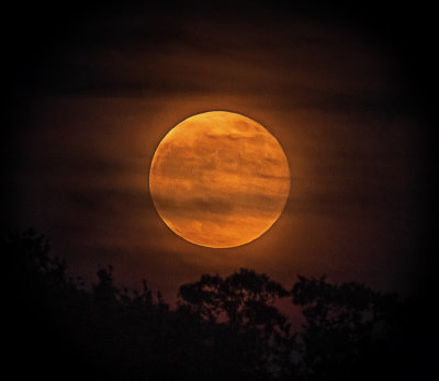 moon rising (2).jpg