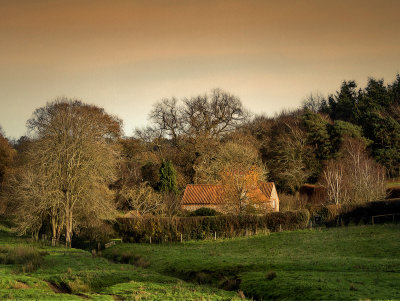 house in the countryside.jpg