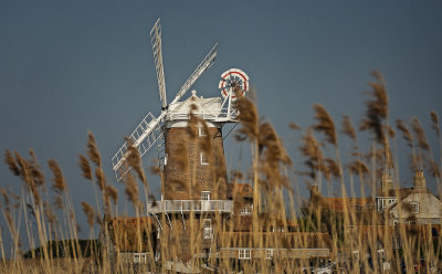 cley windmill through the reeds .jpg