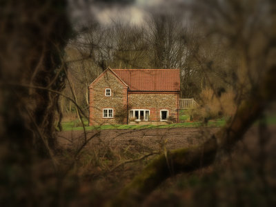 house through the trees.jpg