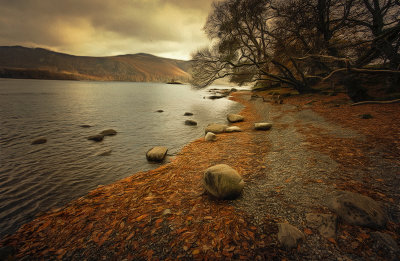 Autumn in the Lake District, UK.jpg
