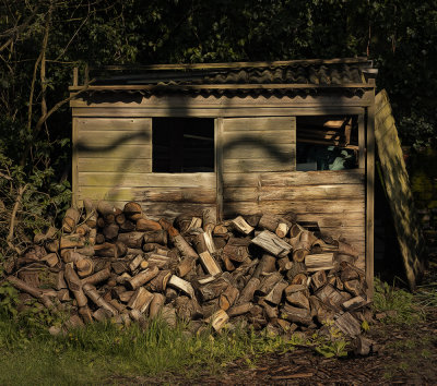 the shed with a face.jpg