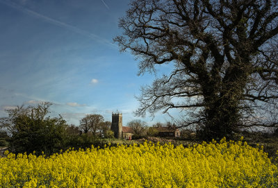 Field of Rape.jpg