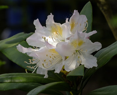 DSCF1801.jpg