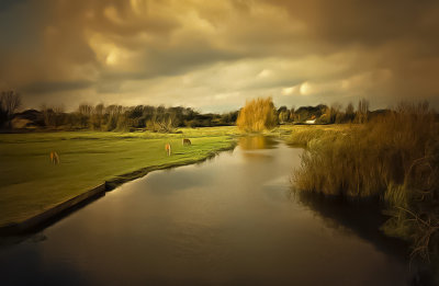 a peaceful river scene.jpg