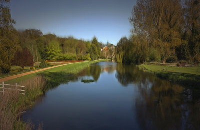 the lonely swan at Oxnead Mill.jpg