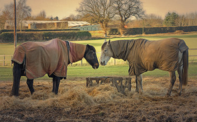 a table for two please waiter.jpg