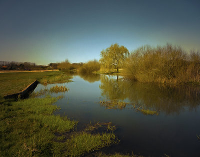 a yesterdays walk by the river Bure.jpg