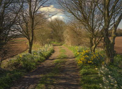 a pleasant country walk.jpg