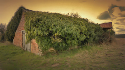 a abandoned.jpg